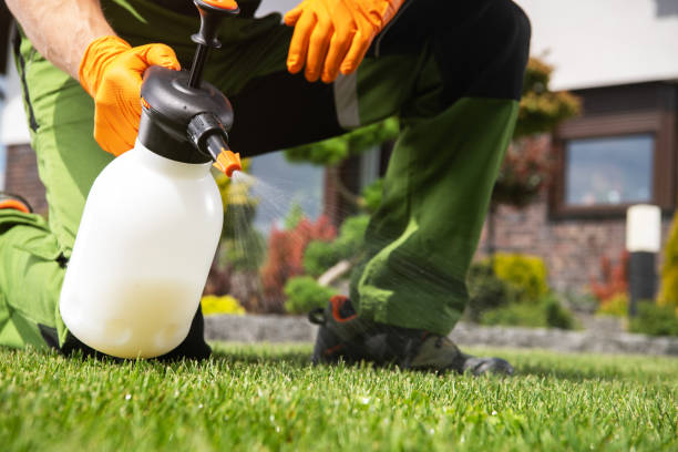 Best Ant Control Services  in Travis Ranch, TX