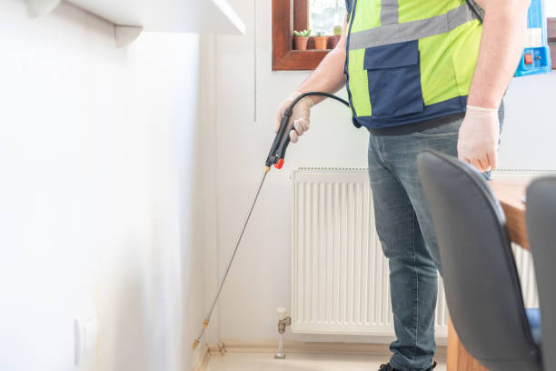 Best Wasp Removal Services  in Travis Ranch, TX