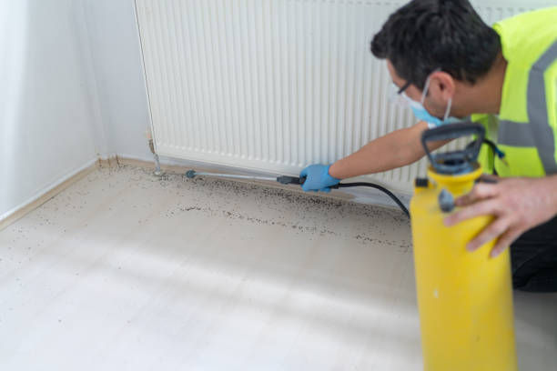 Best Bed Bug Extermination  in Travis Ranch, TX