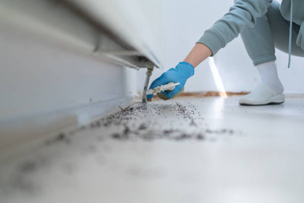 Best Best Pest Control Companies  in Travis Ranch, TX